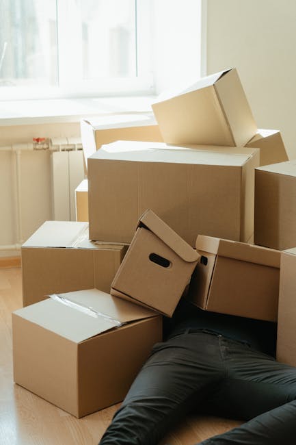 A man with curly hair, wearing a blue t-shirt and dark trousers, sitting on a wooden floor next to several cardboard moving boxes with red packing tape in a spacious room with large, arched windows. Outside the windows, a street with parked cars and buildings is visible, suggesting daytime natural light illuminating the interior. The room contains a tall potted plant near the window and appears prepared for a house removal or furniture transport process, with the boxes indicating packing and moving activities. This setting is associated with home relocation services offered by Maida Vale Removals, reflecting the packing and logistics stage of a house move.
